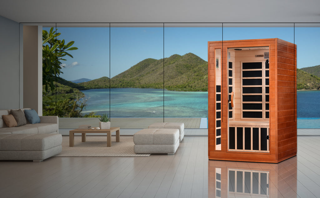Infrared sauna in a modern living room with a large window view of mountains and water.