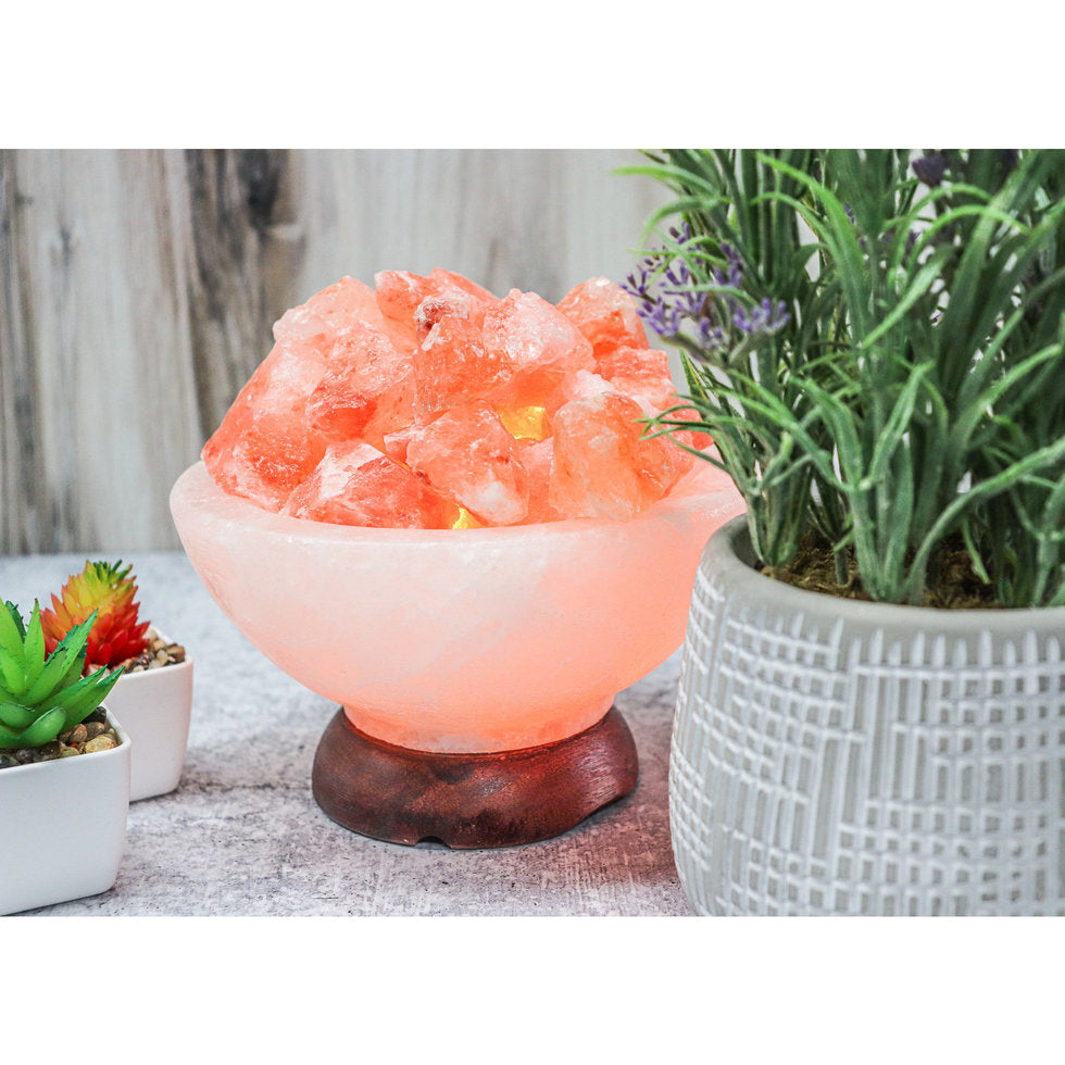 Himalayan salt lamp with decorative plants on a wooden surface