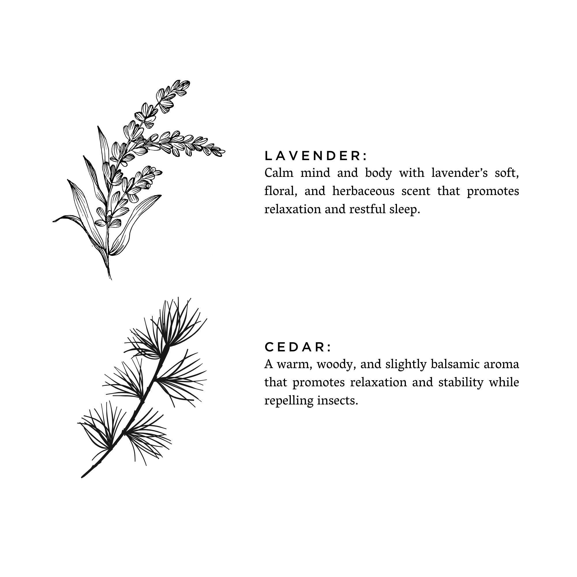 Lavender + Cedar