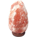 Himalayan Salt Lamp 110-250 LBS