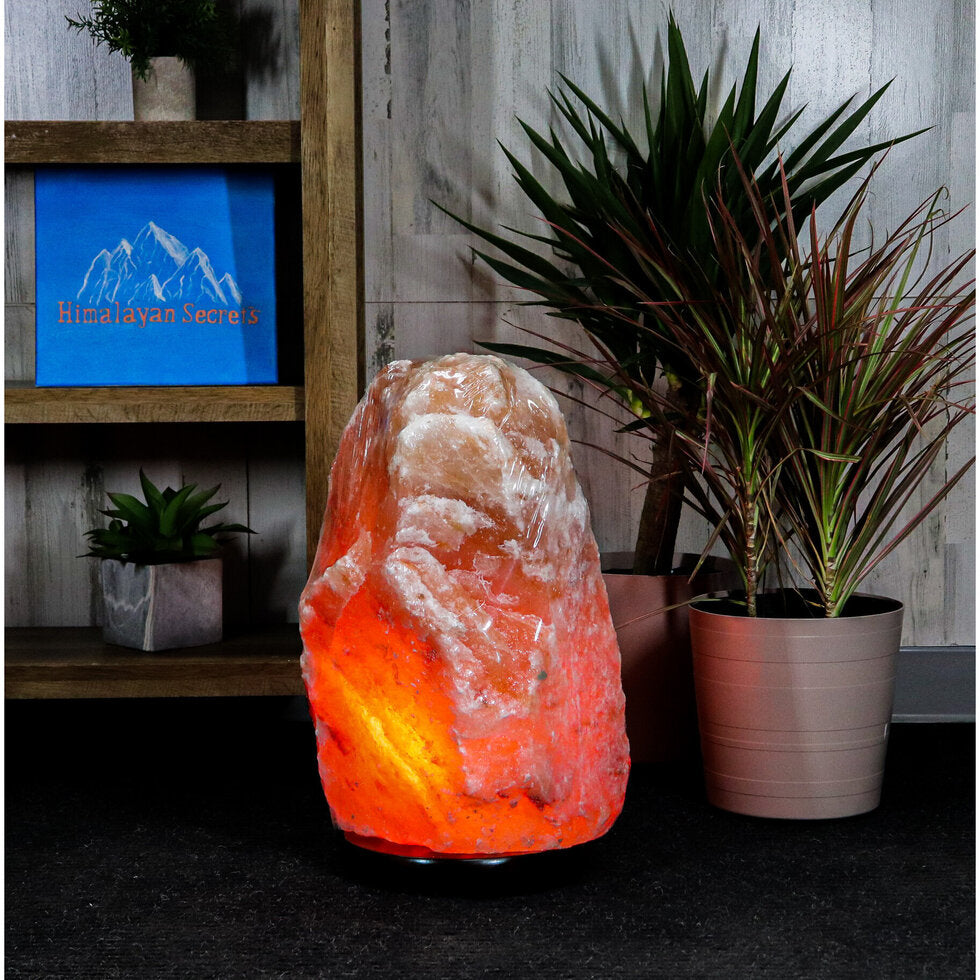 Himalayan salt lamp with plants and a framed picture in the background