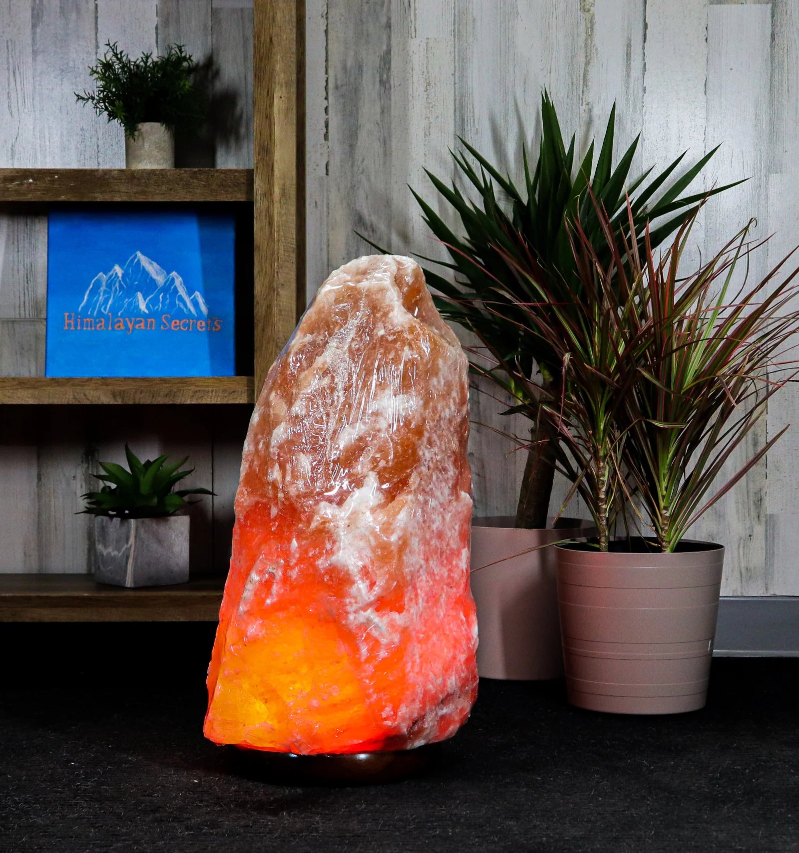 Himalayan Salt Lamp with plants and wooden shelf in the background