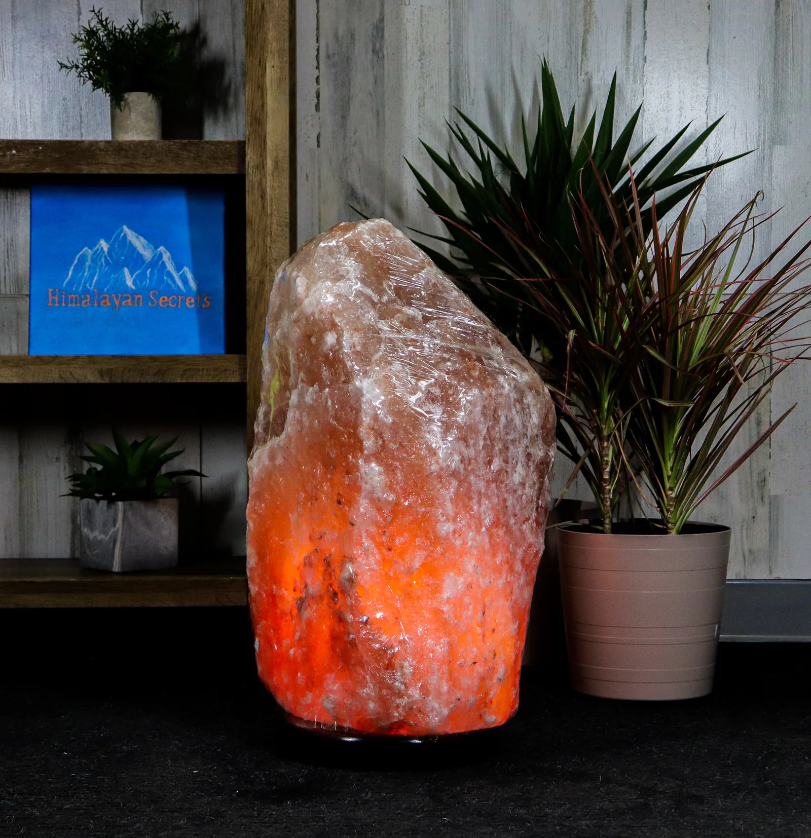 Himalayan salt lamp with a plant and wooden shelf in the background